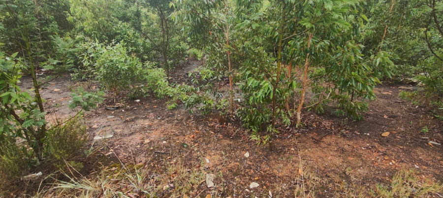 0 Bedroom Property for Sale in Greenbushes Eastern Cape